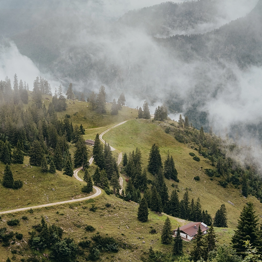 Fernaufnahme Bergwald