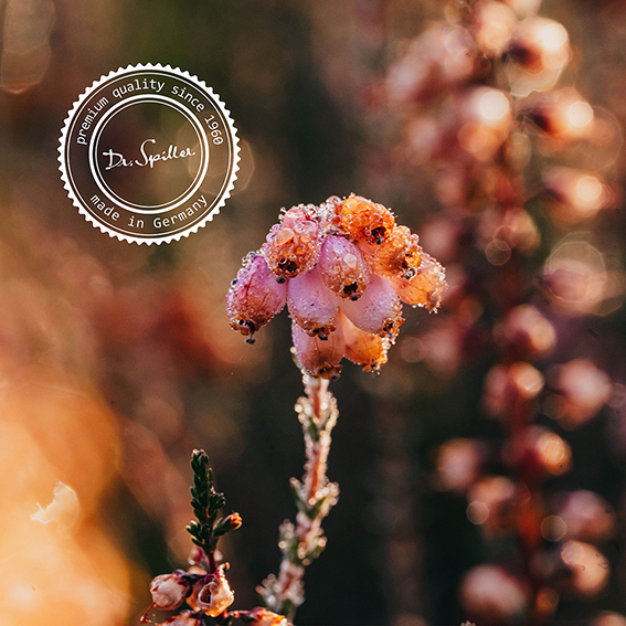 Trawenmoor Siegel Made in Germany